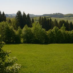 View Hoher Knochen Berghotel Fotos