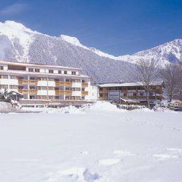 Traube Wildermieming Affenhausen(Tirol)                 