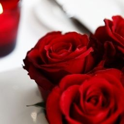 Restaurante Palace Fotos