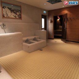 Area wellness Treff Hotel Alpina Fotos