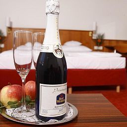 Room Best Western Stuttgart 21 Fotos