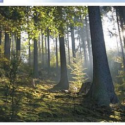 Widok z hotelu Rothfuss Fotos