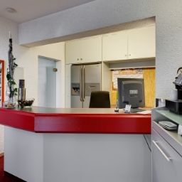  Rotes Ross Fotos