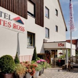  Rotes Ross Fotos