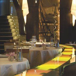 Restaurant Lyon Radisson Blu Hotel Fotos