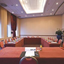 Conference room Lyon Radisson Blu Hotel Fotos