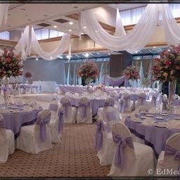 Banqueting hall Radisson Hotel Orlando - International Drive Fotos