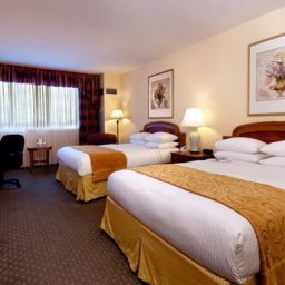 Room Radisson Hotel Orlando - International Drive Fotos