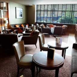 Bar Hilton Bath City hotel Fotos
