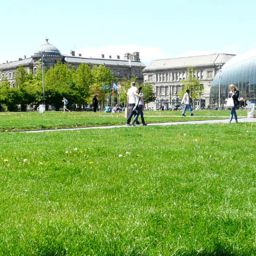  Nid de Cigognes Fotos