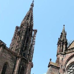  Nid de Cigognes Fotos