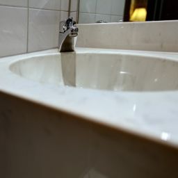  Zum Löwen Fotos
