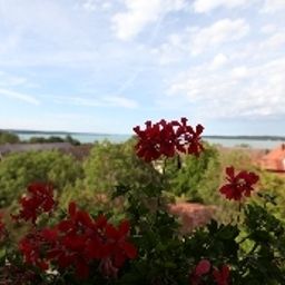 Entorno Seeblick Fotos