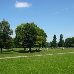  Biederstein Am Englischen Garten Fotos