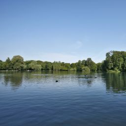 Biederstein Am Englischen Garten München