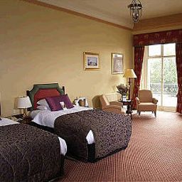 Room The Palace Fotos