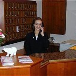 Empfang Bären Fotos