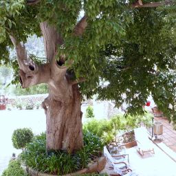 Jardin S´Olivaret Hotel Rural Fotos