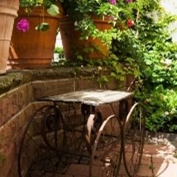 Terrasse Hirsch Fotos