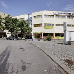  Berliner Bär Fotos