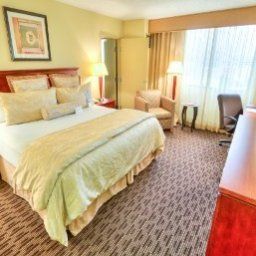 Pokój Wyndham Tampa Westshore Hotel Fotos