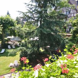 Jardin Obere Linde Oberkirch Fotos