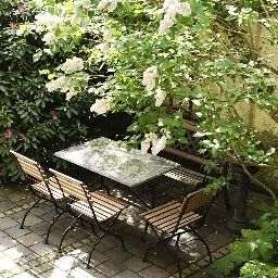 Garden Splendid-Dollmann Fotos