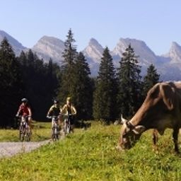  Toggenburg Fotos