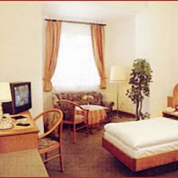 Room Schwarzer Bär Fotos