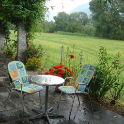Garten Benjaminn Fotos