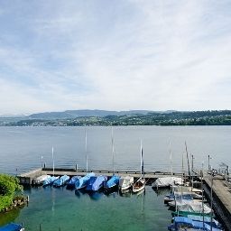 View Hirschen am See Fotos