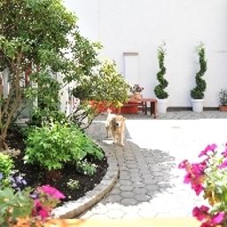 Giardino Arthotel Munich Fotos