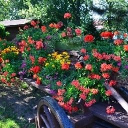Garten Altes Zollhaus Fotos
