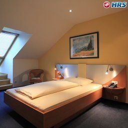 Room Hasi Fotos