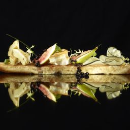  Seegarten Fotos