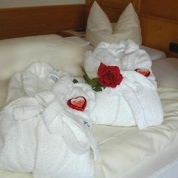 Zona Wellness Alpenhof Garni Fotos