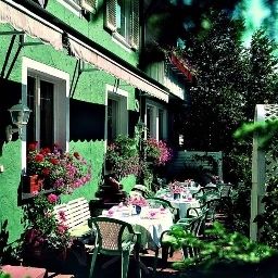  Bären Fotos