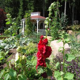 Jardín Langenwaldsee Fotos