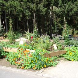 Jardín Langenwaldsee Fotos