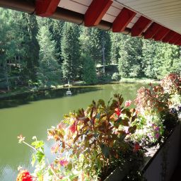  Langenwaldsee Fotos