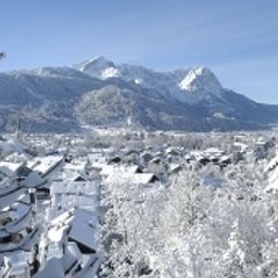  Roter Hahn Fotos