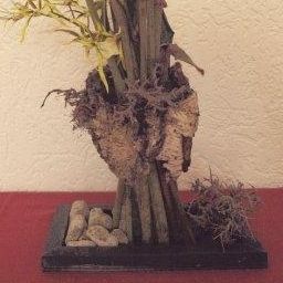 Tienda Villa Bonsai Fotos