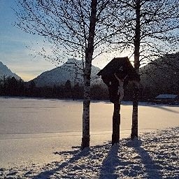 Entorno Aschenbrenner Fotos