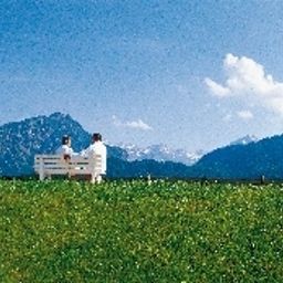 Vue Alpenhof Fotos