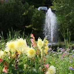 Garten Mühlenthal Fotos