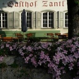  Zantl Fotos