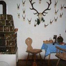  Zantl Fotos