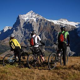 Panorama Lauberhorn Nichtraucherhotel Fotos