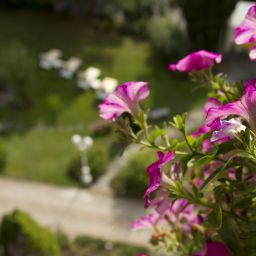 Jardin Wengener Hof Fotos