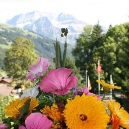 Ausblick Waldrand Hotel-Restaurant Fotos